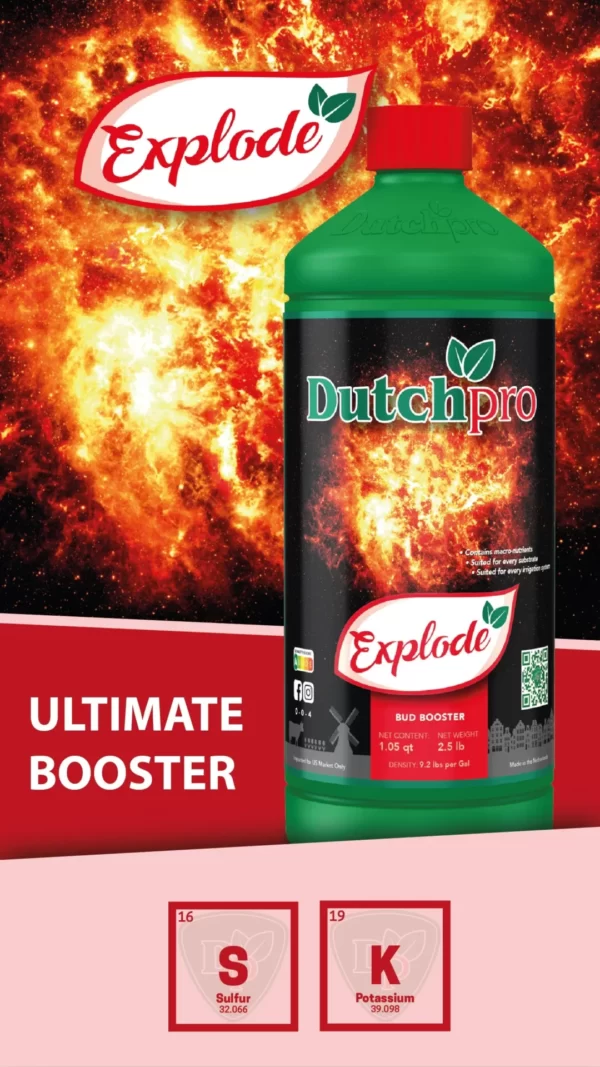 Explode - Bud Booster