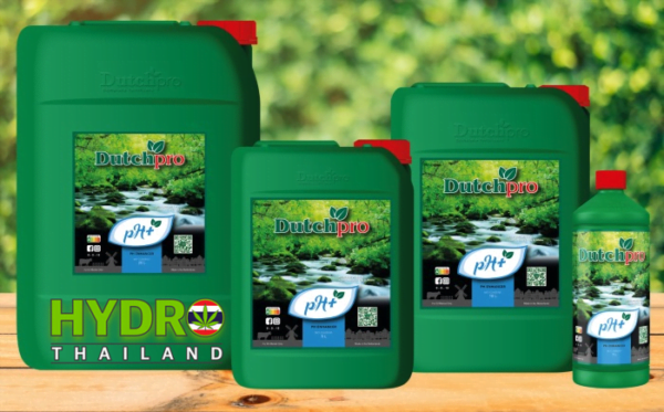 ph plus full sizing hydro thailand dutchpro nutrients 700x435 logo 1