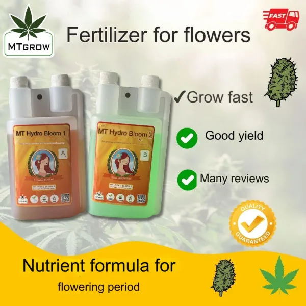 Ab Flower Mtgrow (2)