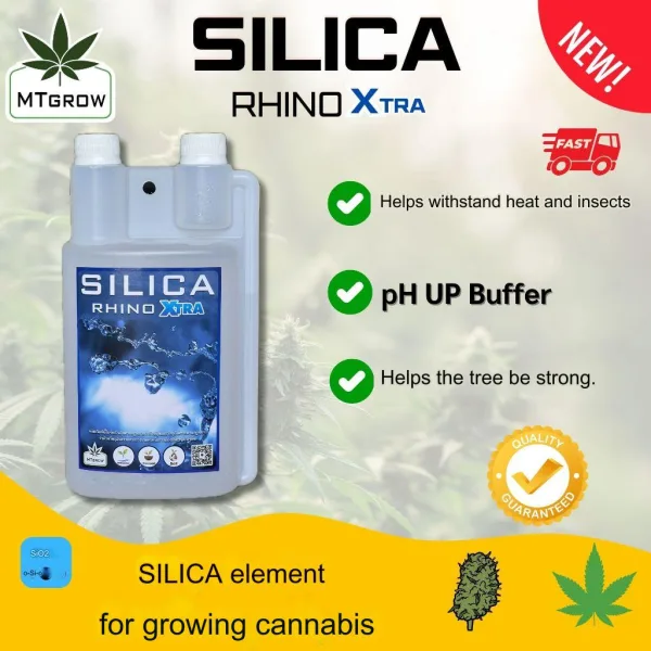 Silica Mtgrow